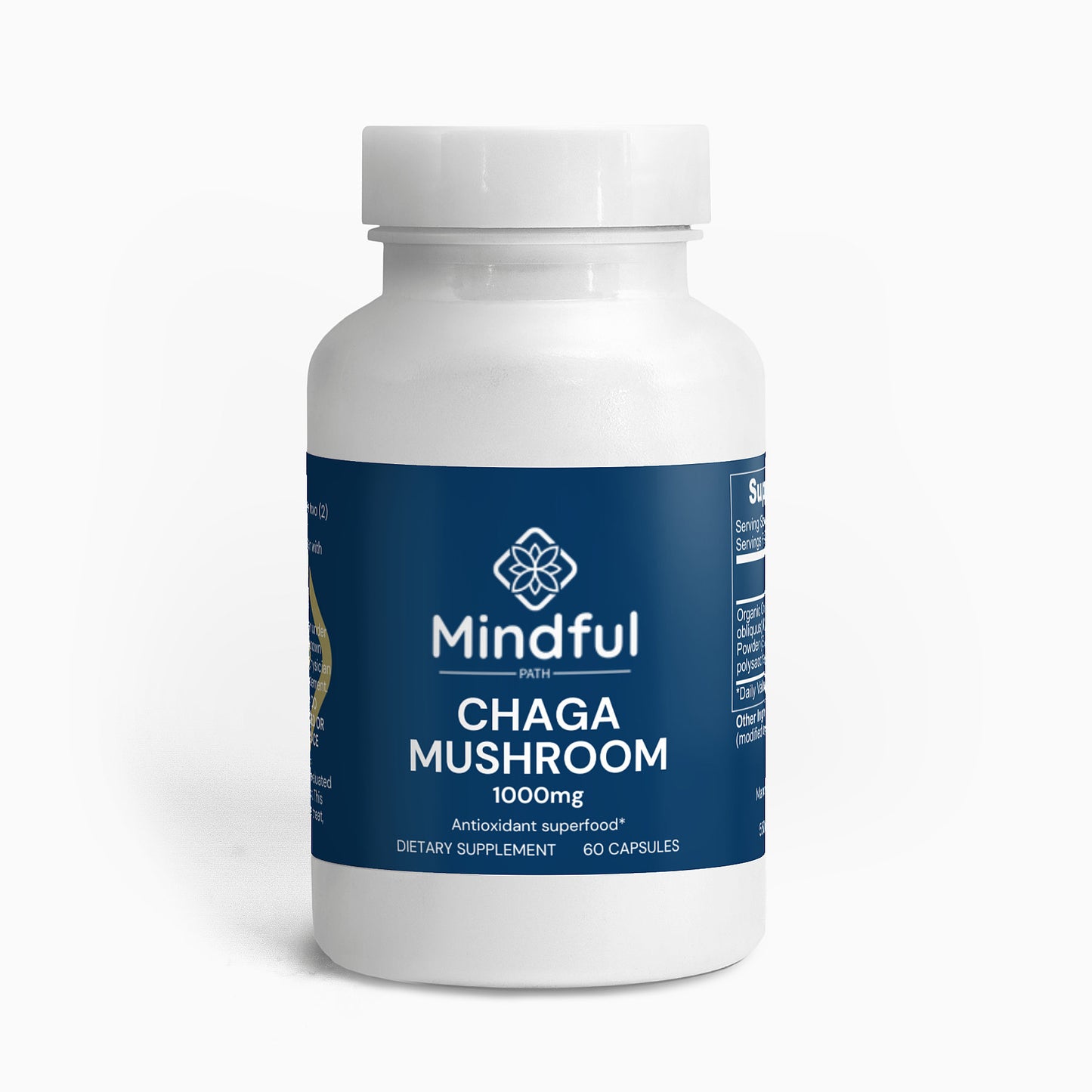 Chaga Mushroom