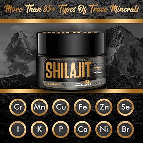 Shilajit Resin - Organic Shilajit Resin Third Party Tested Rich in 85+ Trace Minerals, Gold Grade Himalayan Pure Shiljait for Energy (1 Fl Oz (Pack of 1))